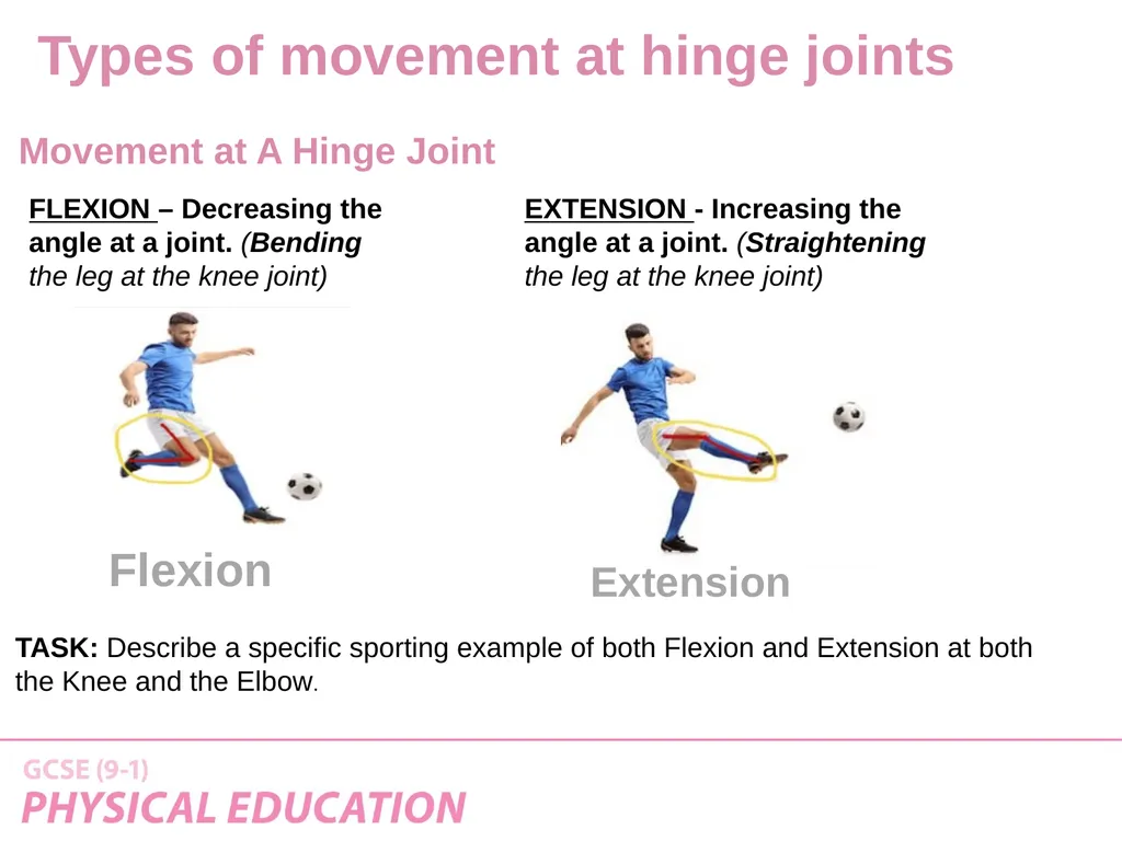 Applied Anatomy and Physiology Learning Outcomes - slide 23 of 33