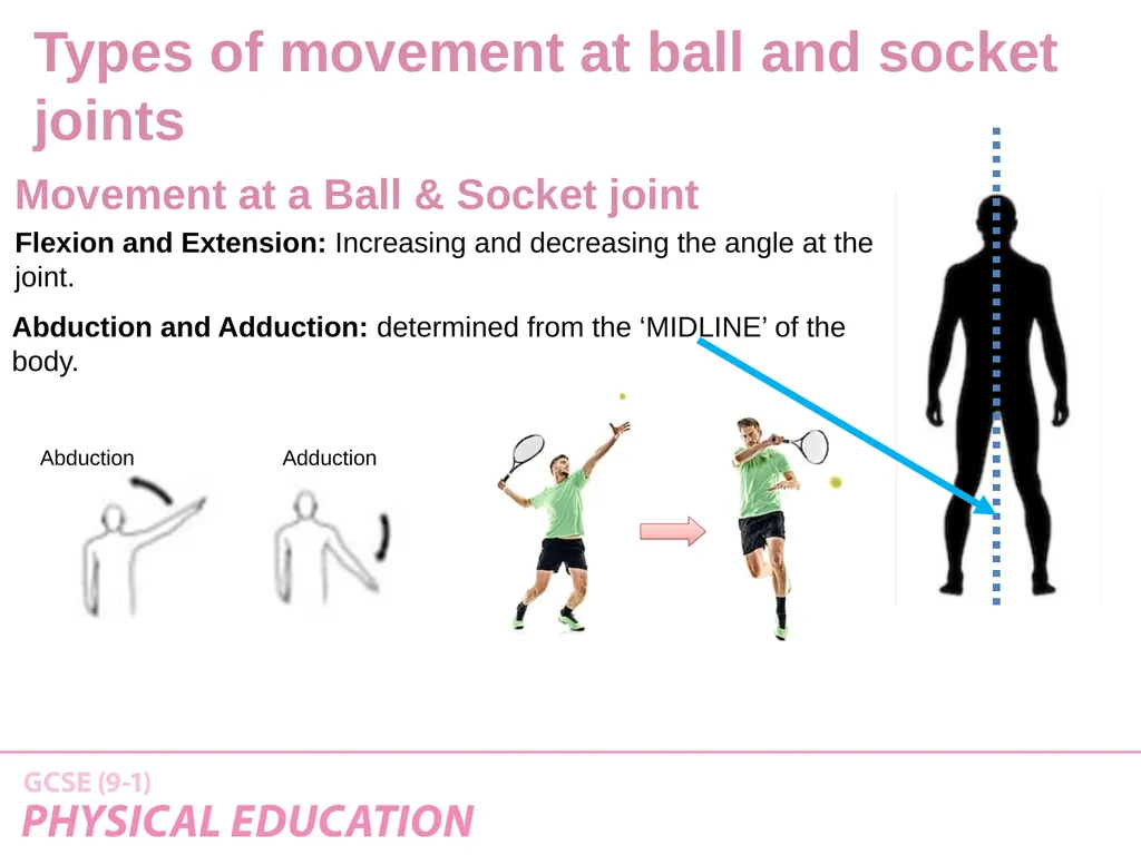 Applied Anatomy and Physiology Learning Outcomes - slide 27 of 33