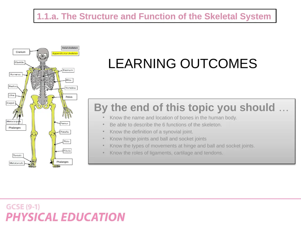 Applied Anatomy and Physiology Learning Outcomes - slide 2 of 33