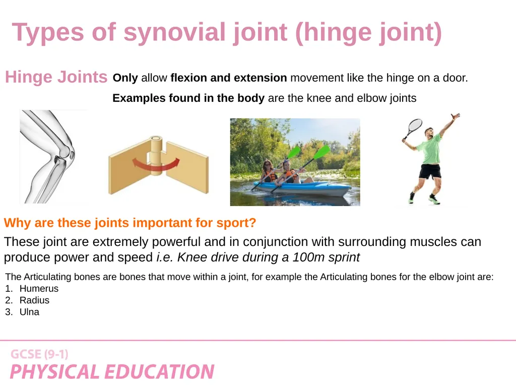 Applied Anatomy and Physiology Learning Outcomes - slide 21 of 33