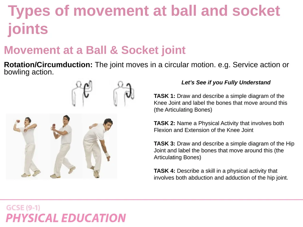 Applied Anatomy and Physiology Learning Outcomes - slide 29 of 33