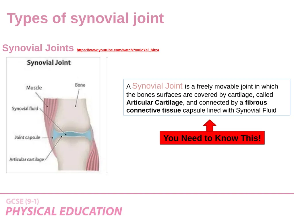 Applied Anatomy and Physiology Learning Outcomes - slide 20 of 33