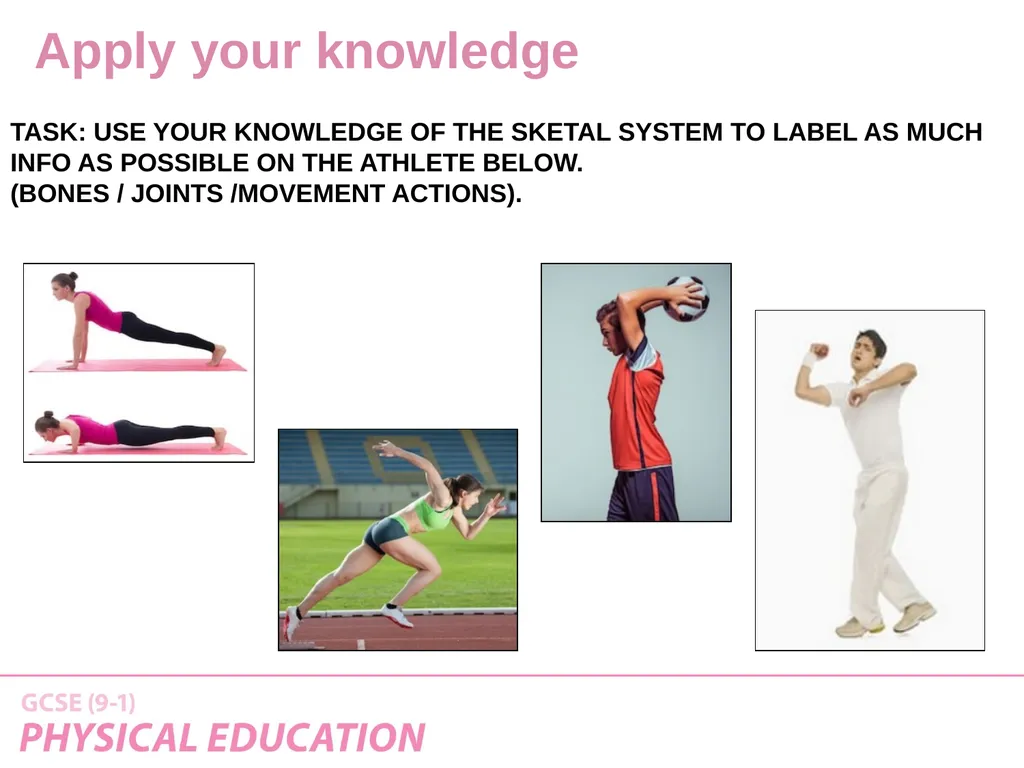 Applied Anatomy and Physiology Learning Outcomes - slide 32 of 33