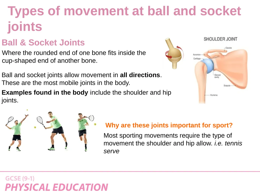 Applied Anatomy and Physiology Learning Outcomes - slide 26 of 33