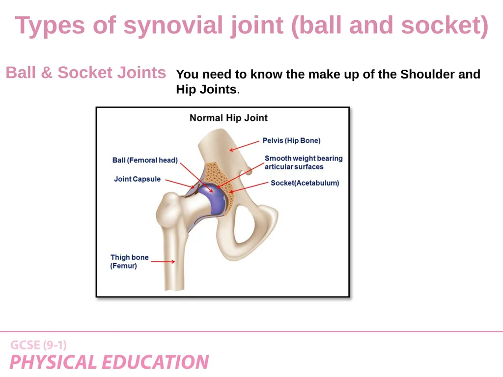 Applied Anatomy and Physiology Learning Outcomes - slide 25 of 33