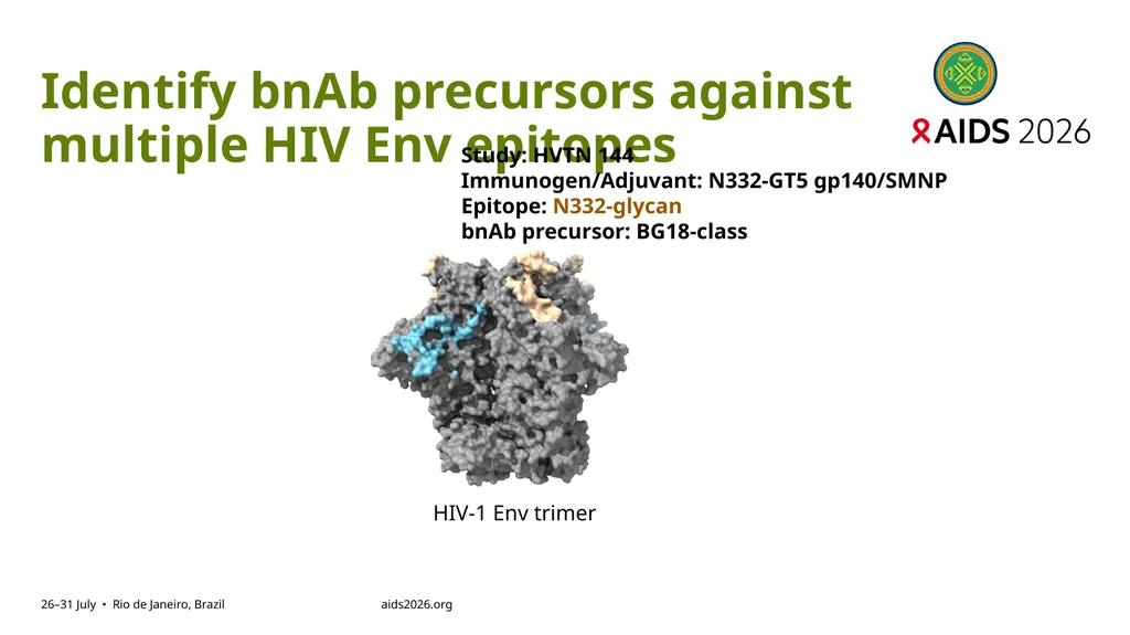 Immune profiling of antigen—specific B cell - slide 15 of 36