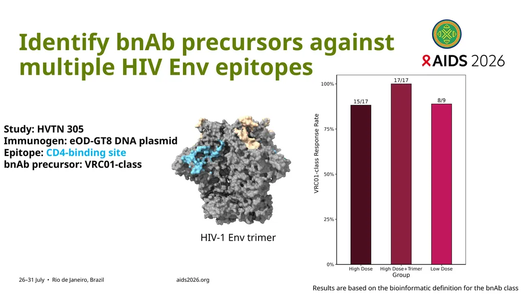 Immune profiling of antigen—specific B cell - slide 17 of 36