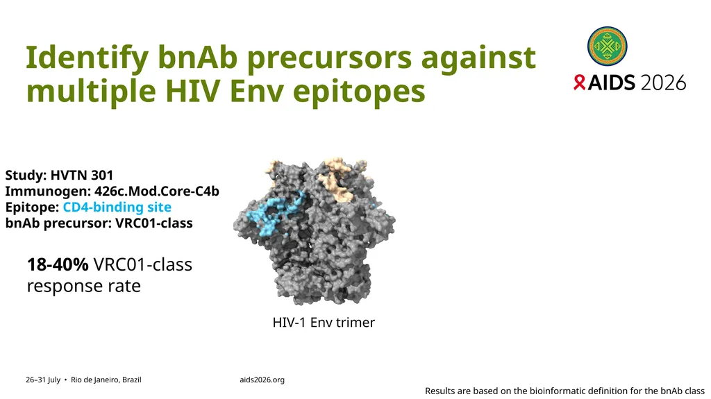 Immune profiling of antigen—specific B cell - slide 19 of 36