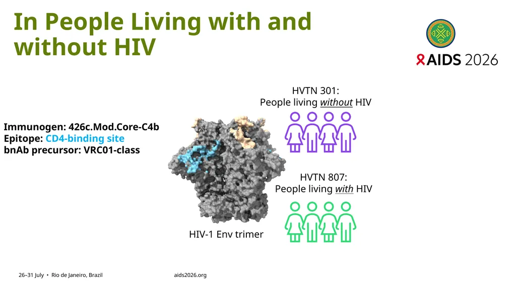 Immune profiling of antigen—specific B cell - slide 20 of 36