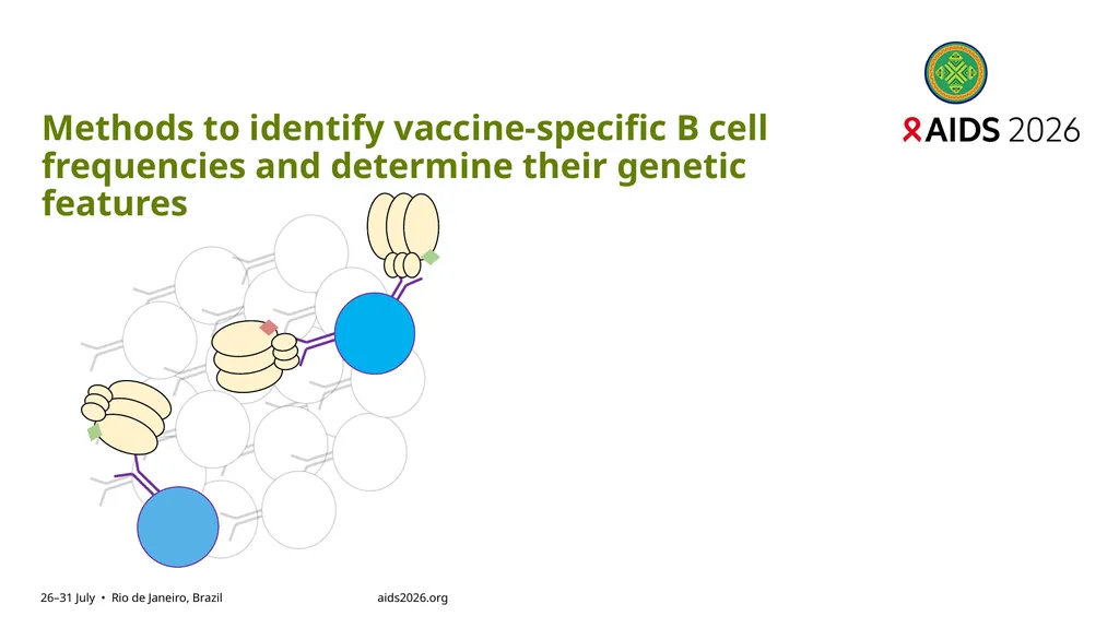 Immune profiling of antigen—specific B cell - slide 6 of 36