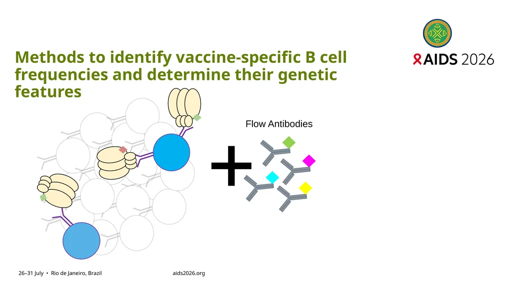 Immune profiling of antigen—specific B cell - slide 7 of 36