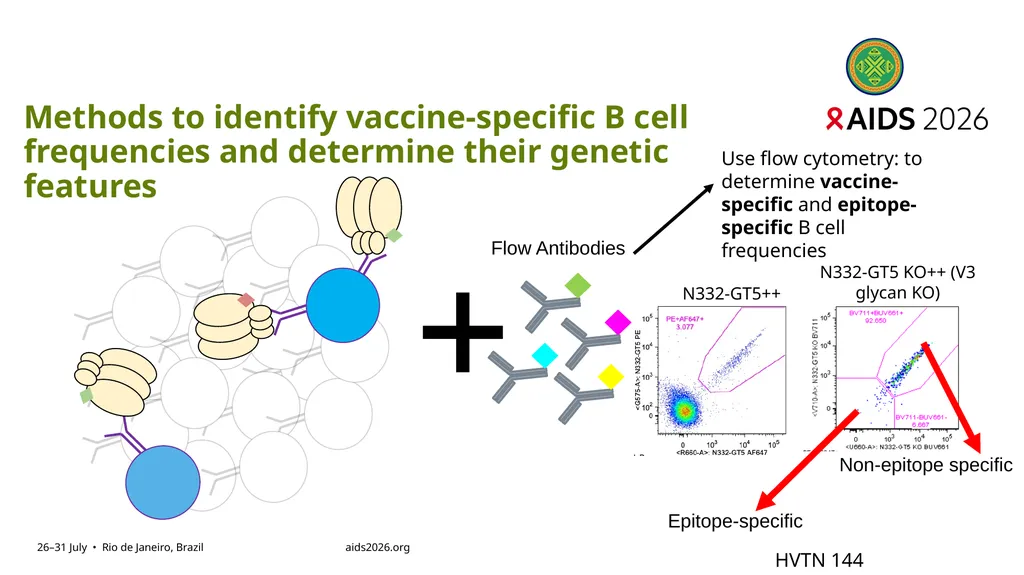 Immune profiling of antigen—specific B cell - slide 10 of 36