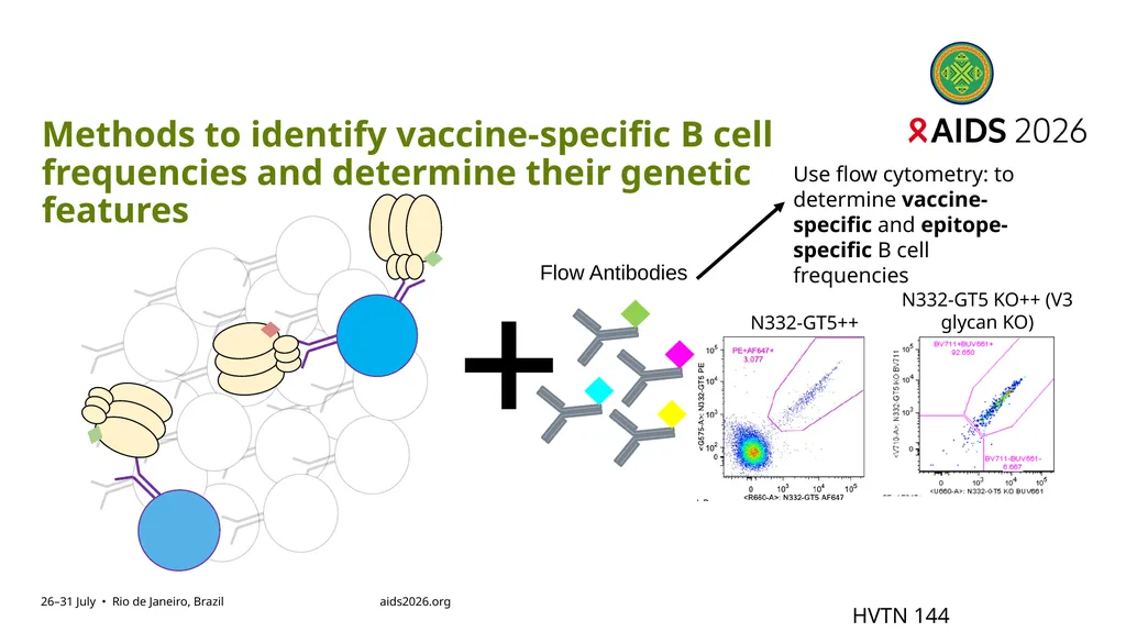 Immune profiling of antigen—specific B cell - slide 9 of 36
