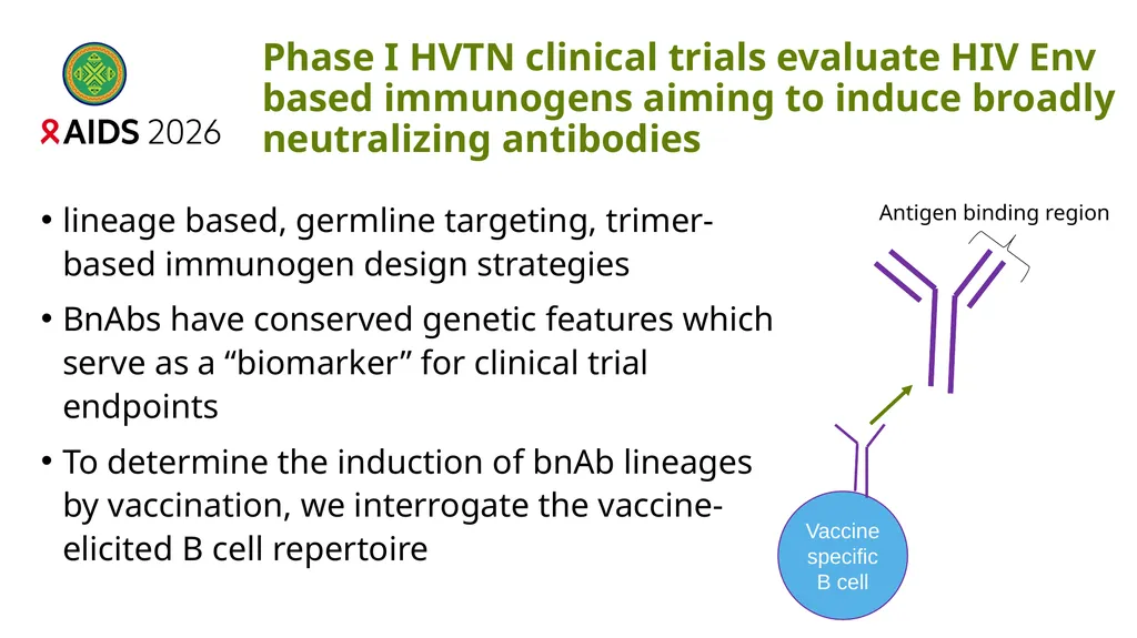 Immune profiling of antigen—specific B cell - slide 4 of 36