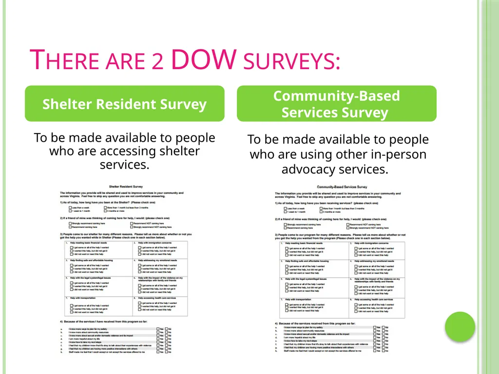 Documenting Our Work Surveys VAdata: Virginia’s - slide 6 of 24