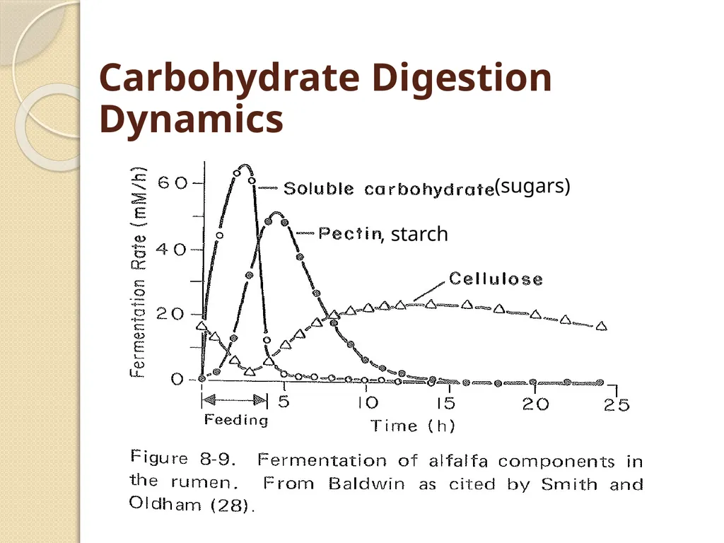 Dairy Cattle Nutrition – The Basics Dr. L. E. - slide 41 of 49