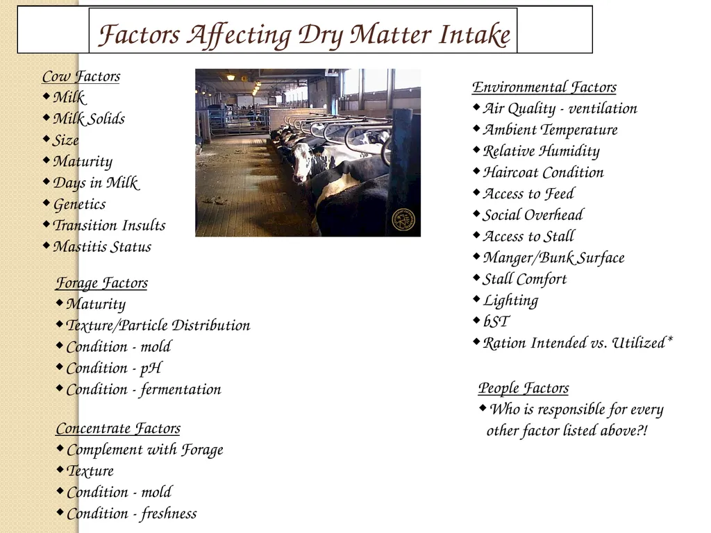Dairy Cattle Nutrition – The Basics Dr. L. E. - slide 12 of 49