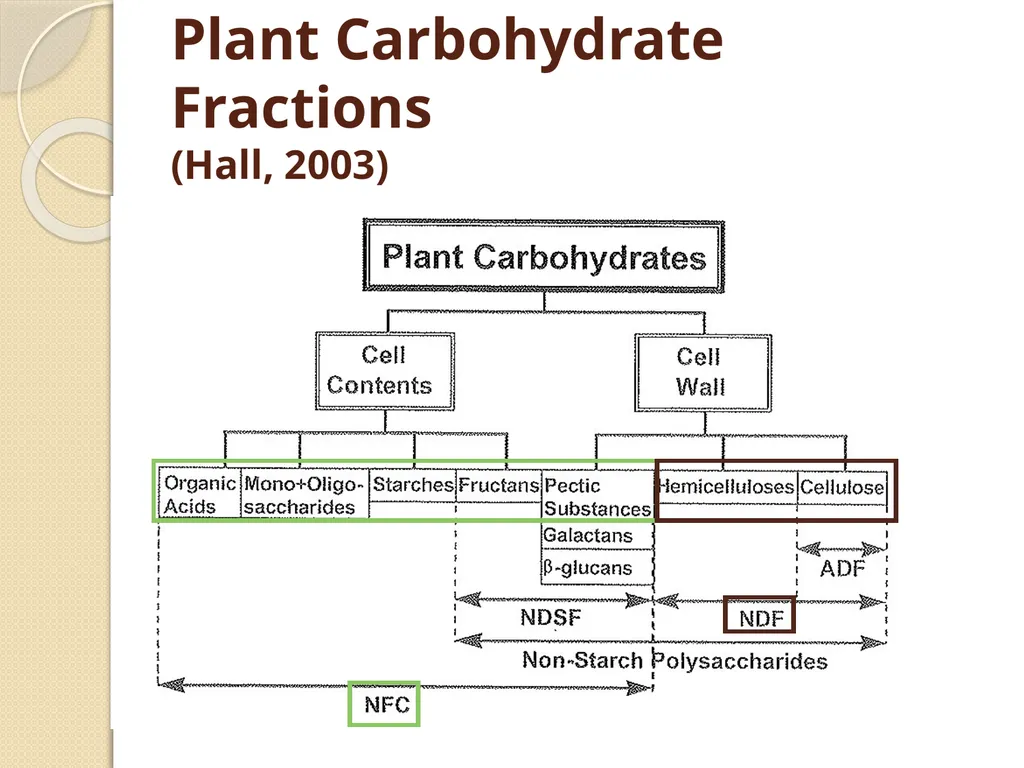 Dairy Cattle Nutrition – The Basics Dr. L. E. - slide 39 of 49