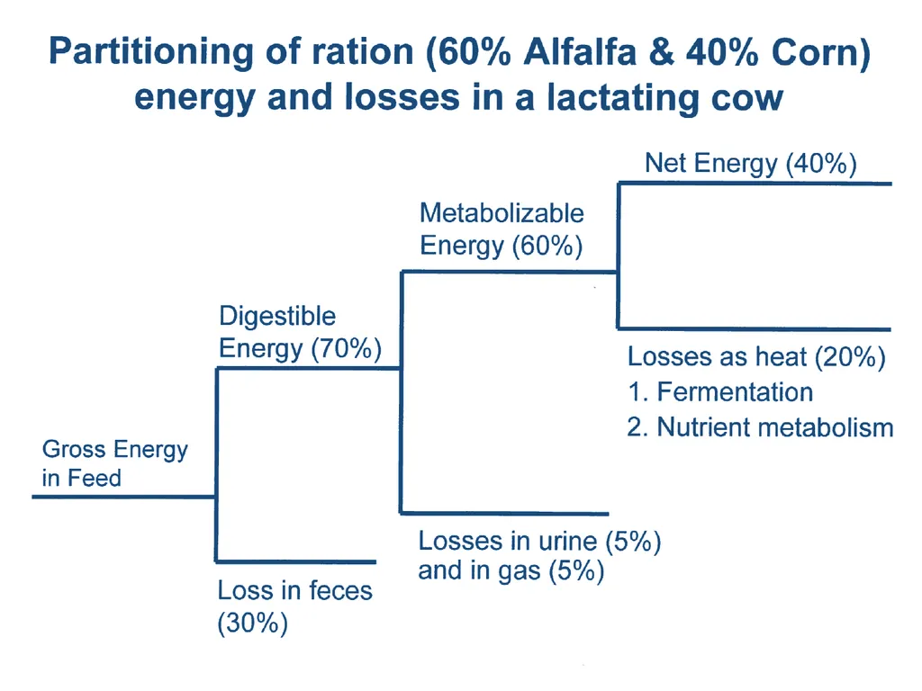 Dairy Cattle Nutrition – The Basics Dr. L. E. - slide 27 of 49