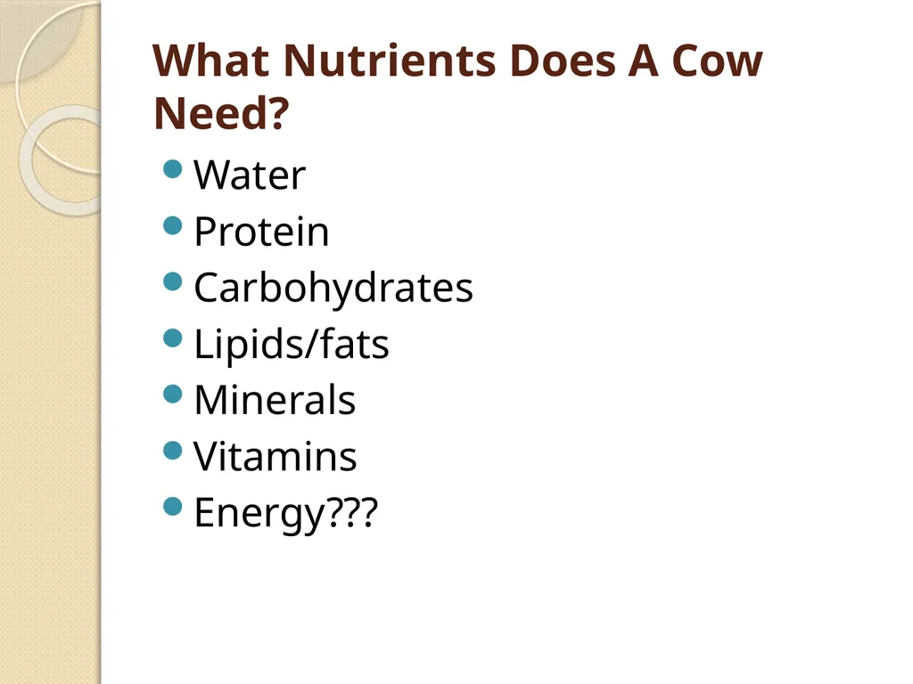 Dairy Cattle Nutrition – The Basics Dr. L. E. - slide 16 of 49