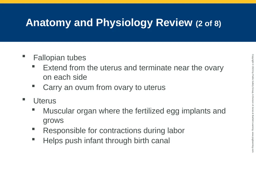 Gynecologic Emergencies CHAPTER 25: Focused - slide 7 of 51