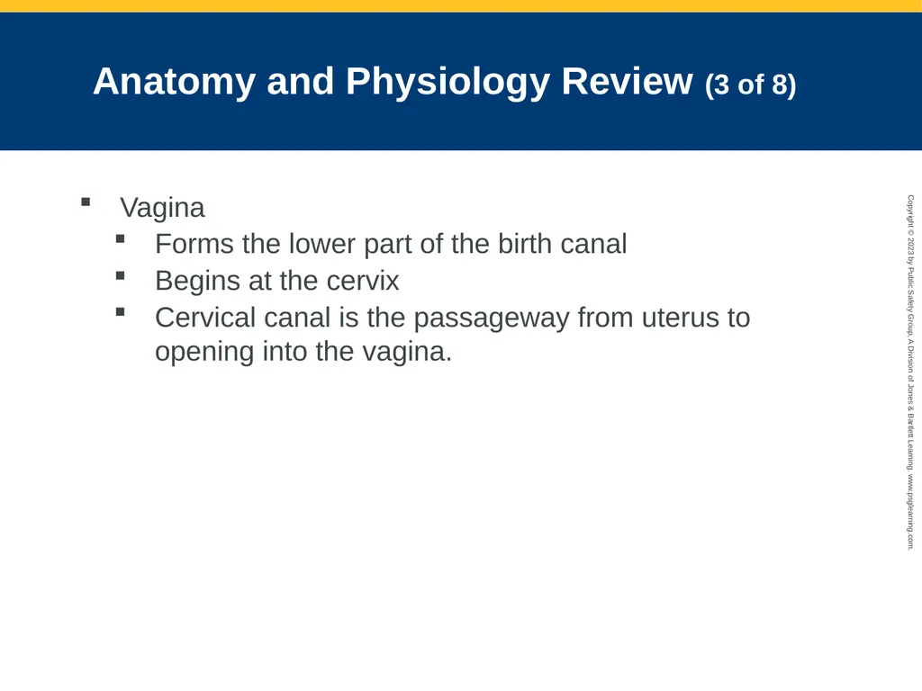 Gynecologic Emergencies CHAPTER 25: Focused - slide 8 of 51