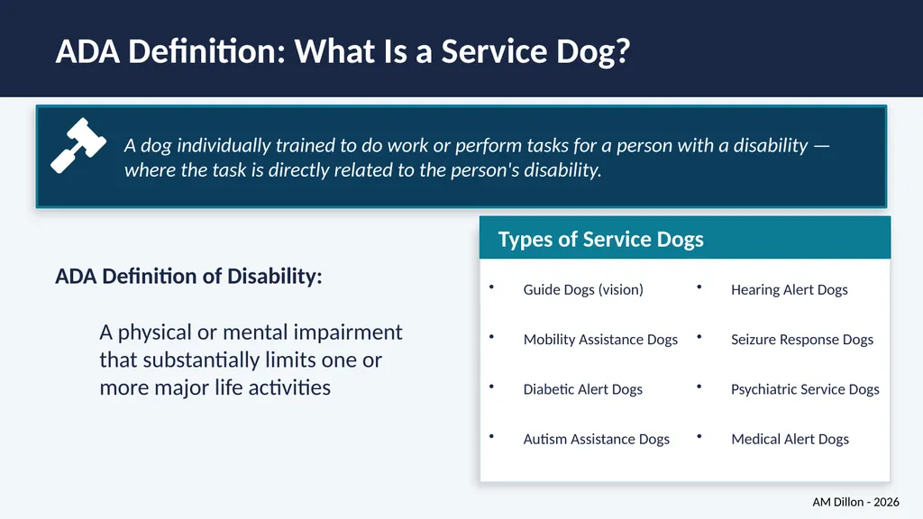 Navigating Service Dog Access in Libraries A - slide 4 of 14