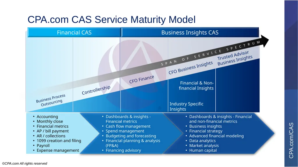 7-Minute Presentation Client Advisory Services - slide 7 of 21