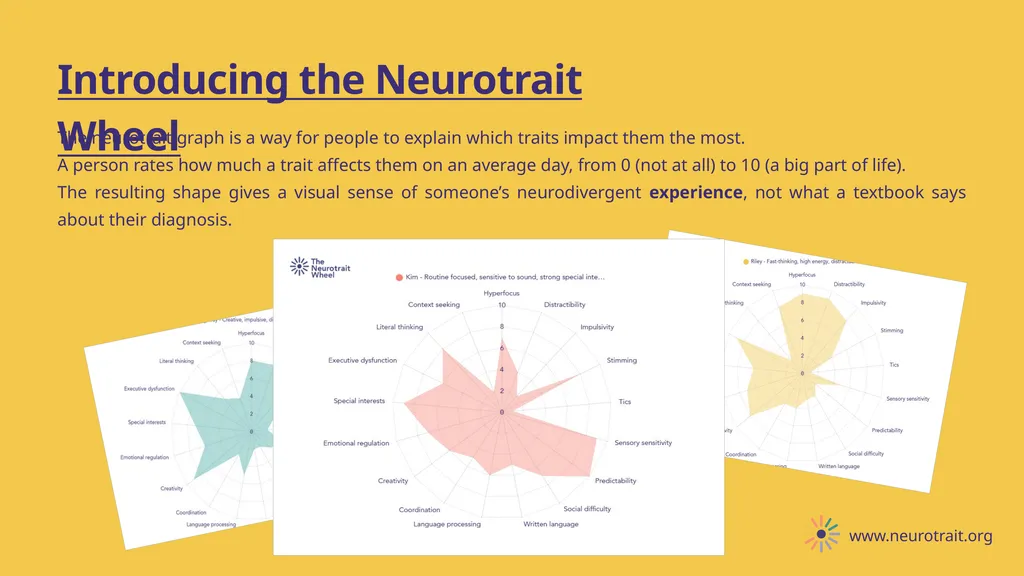 Explaining Neurodiversity with the Neurotrait - slide 4 of 10