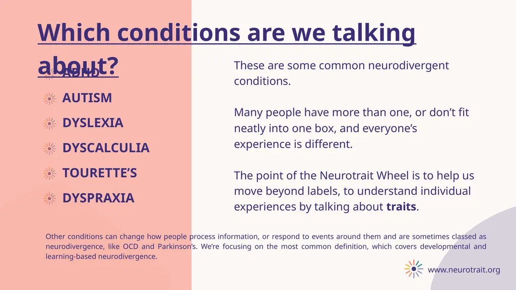 Explaining Neurodiversity with the Neurotrait - slide 3 of 10