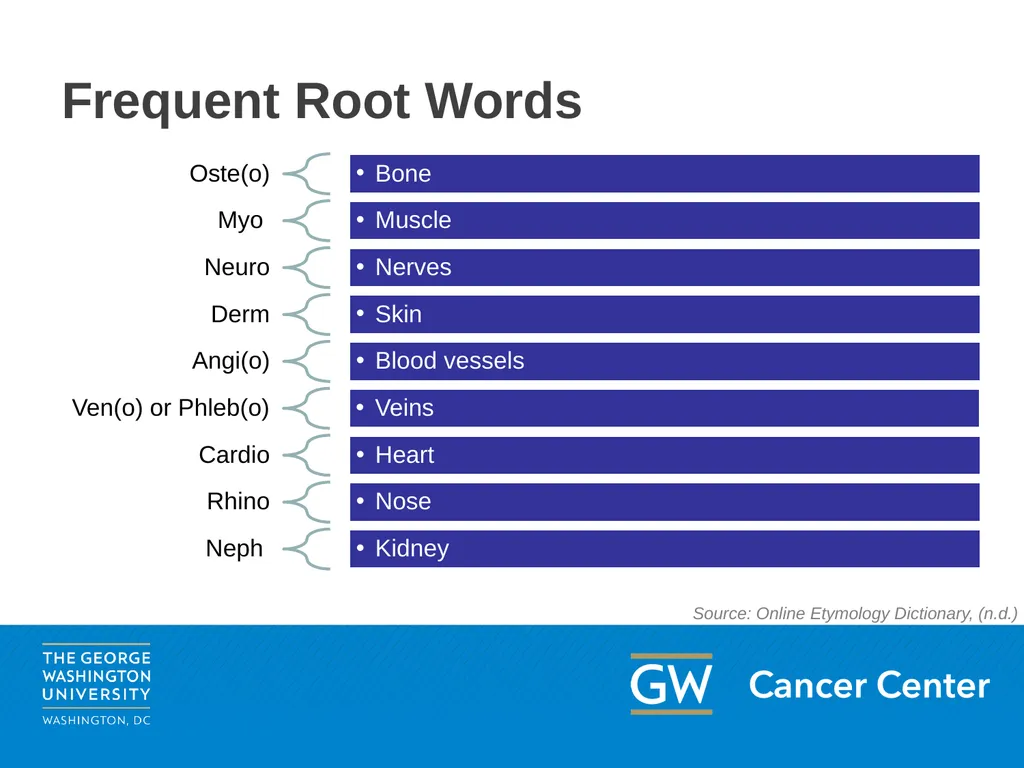 Medical Terminology Oncology Patient Navigator - slide 9 of 22