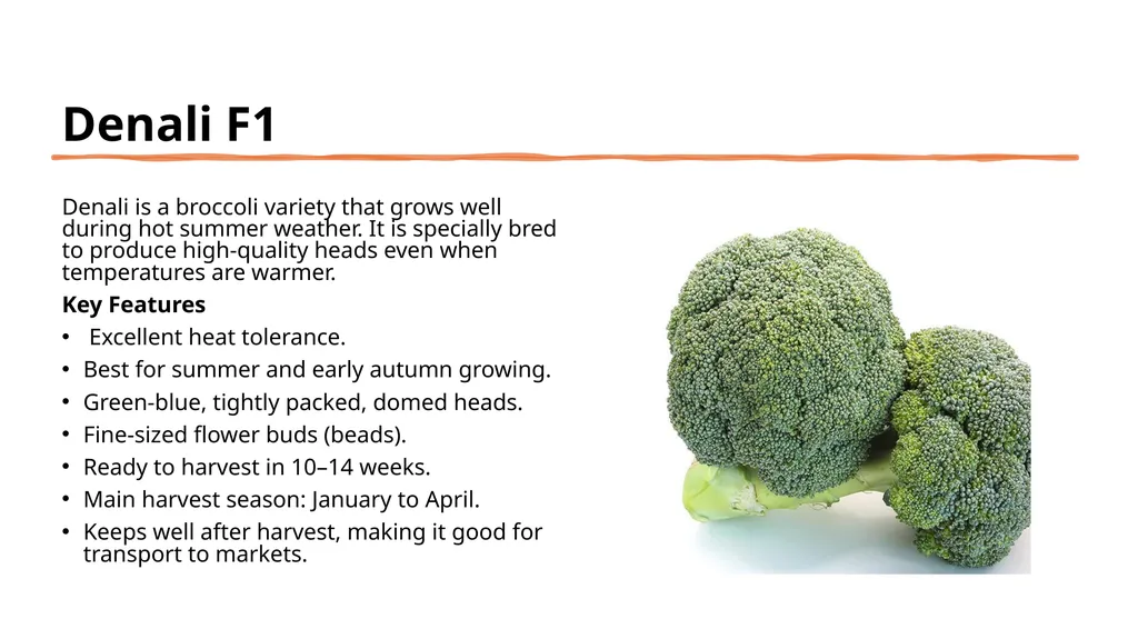 Broccoli cultivars Are these broccoli all the - slide 8 of 22