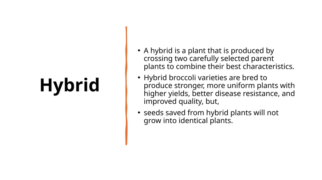 Broccoli cultivars Are these broccoli all the - slide 5 of 22