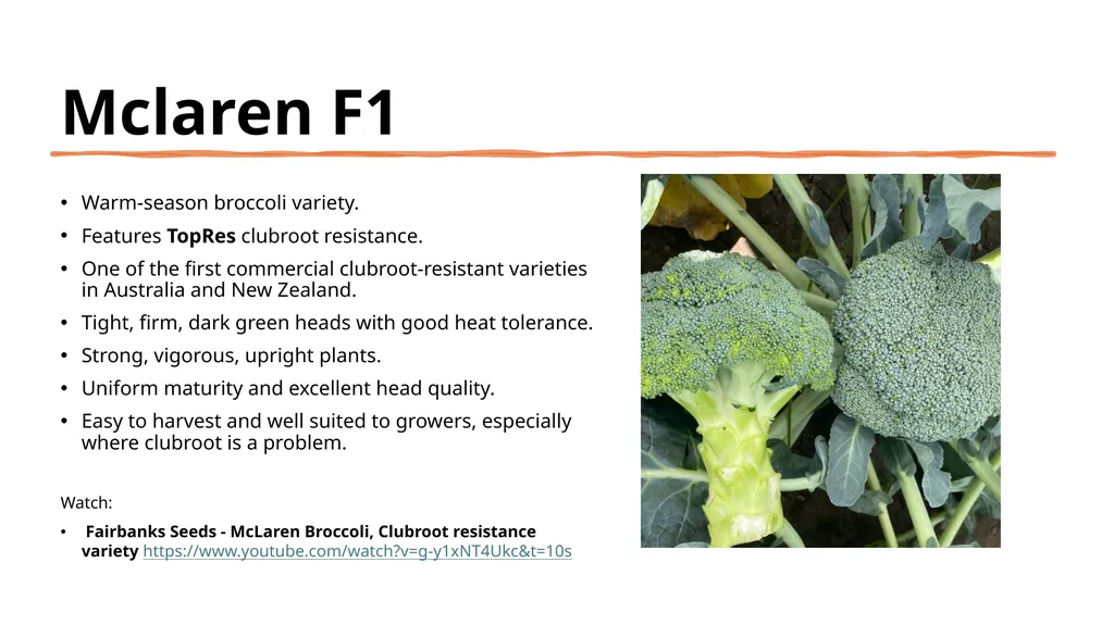 Broccoli cultivars Are these broccoli all the - slide 6 of 22