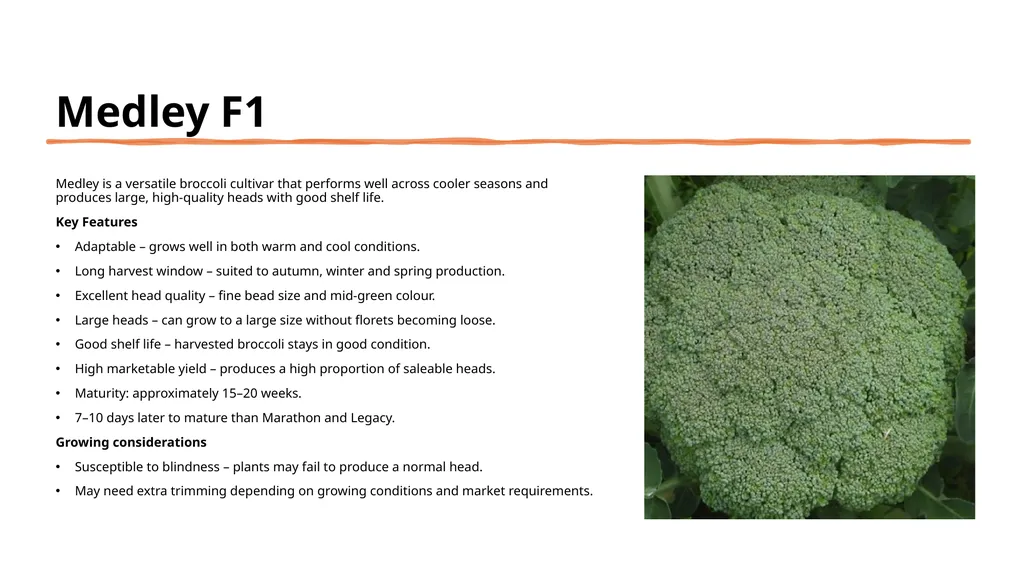 Broccoli cultivars Are these broccoli all the - slide 10 of 22