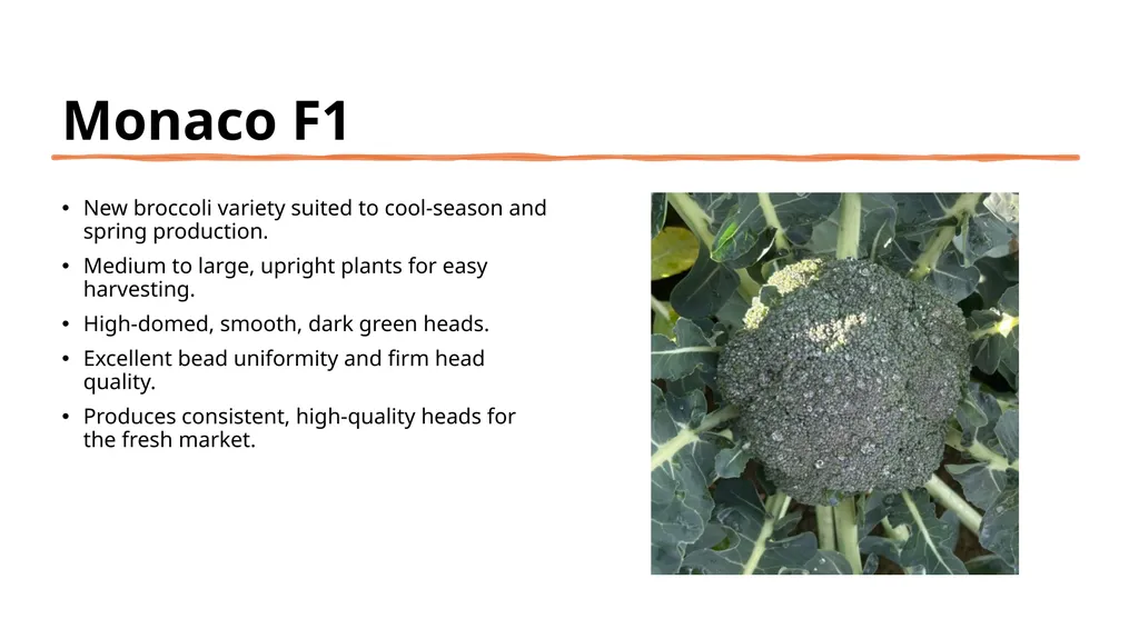 Broccoli cultivars Are these broccoli all the - slide 13 of 22