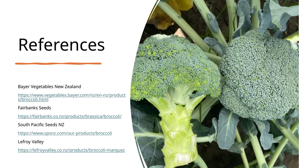 Broccoli cultivars Are these broccoli all the - slide 21 of 22