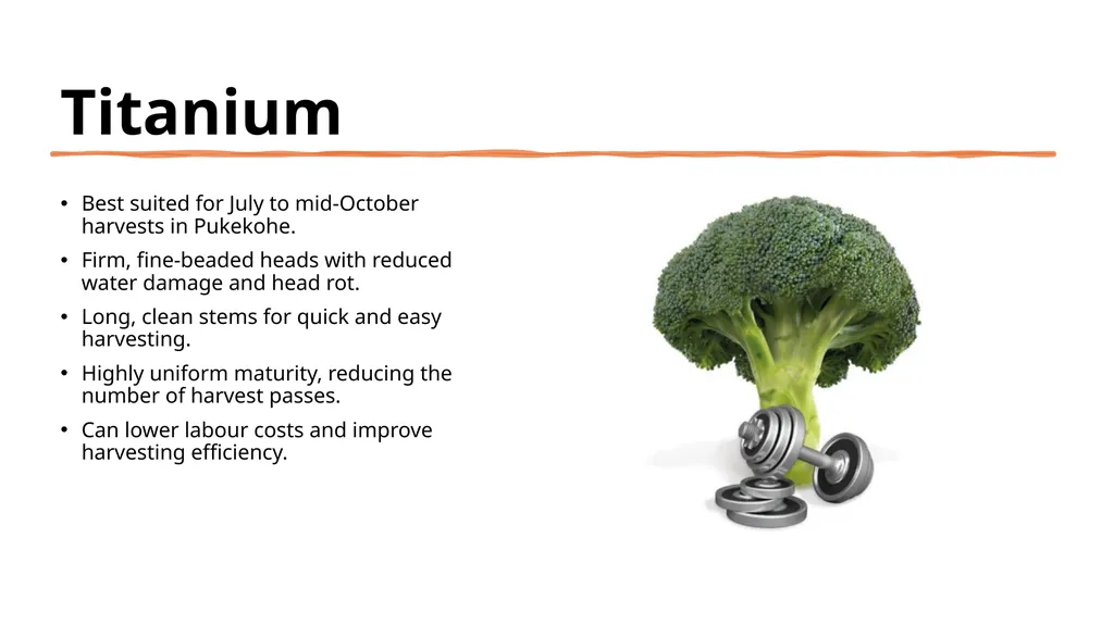 Broccoli cultivars Are these broccoli all the - slide 17 of 22