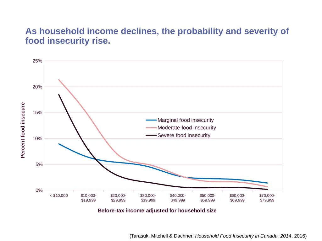 Understanding household food insecurity in Canada, - slide 13 of 22