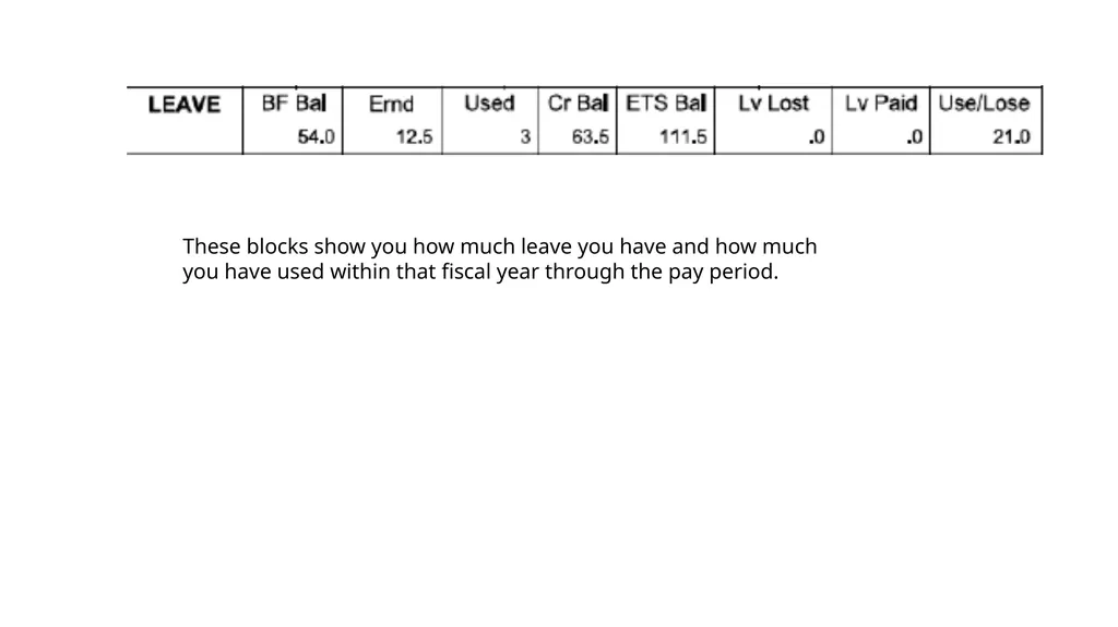 Title: Leave and Earning Statement Estimated - slide 17 of 21