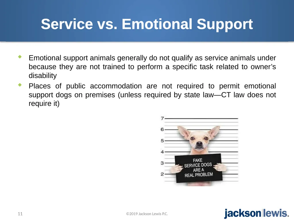 Making Heads and Tails of Service, Emotional - slide 11 of 33