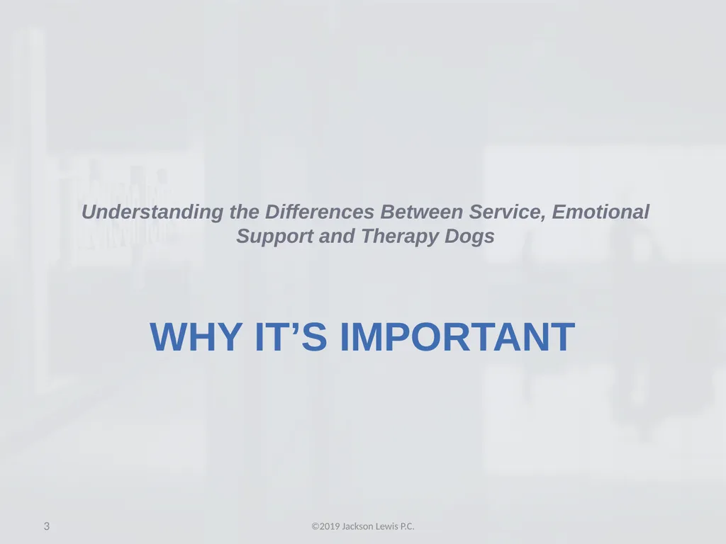 Making Heads and Tails of Service, Emotional - slide 3 of 33