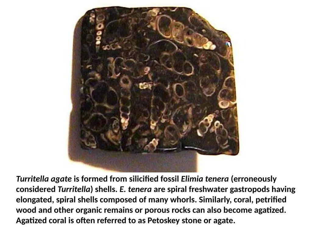 AGATES A Nice Botswana Agate A slide Show - slide 10 of 44
