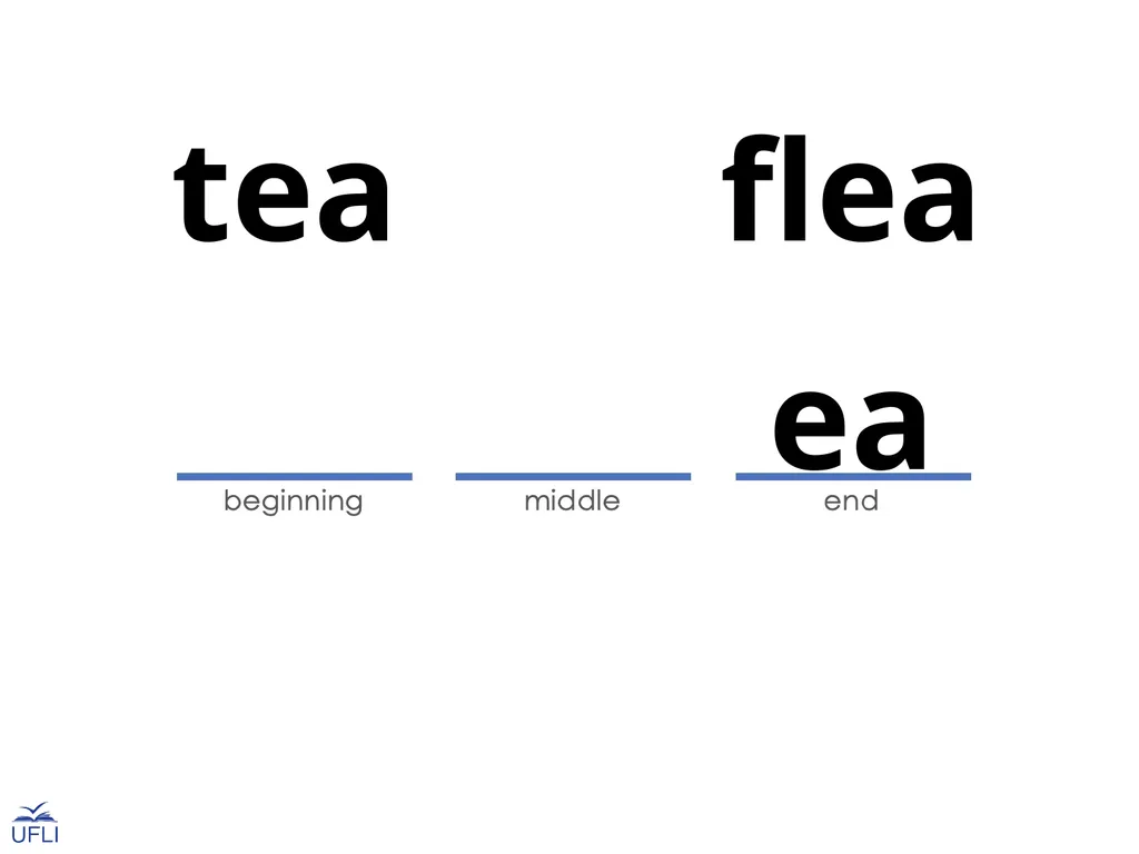 Grapheme Introduction ea Grapheme Introduction - slide 12 of 15