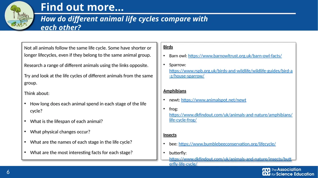 Living things and their habitats Comparing the - slide 6 of 9