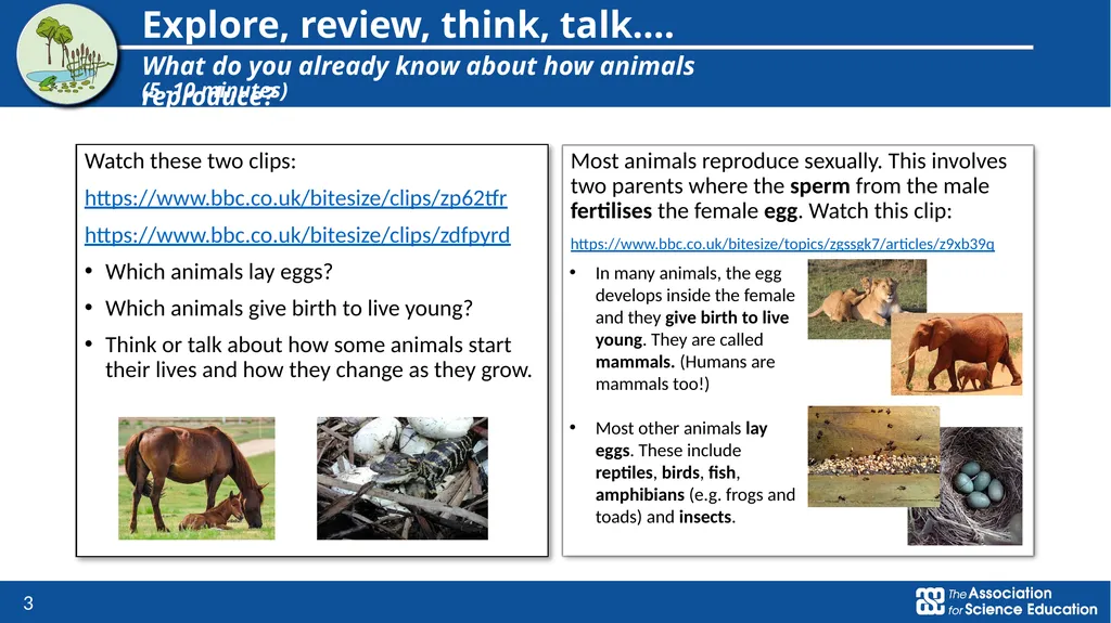 Living things and their habitats Comparing the - slide 3 of 9
