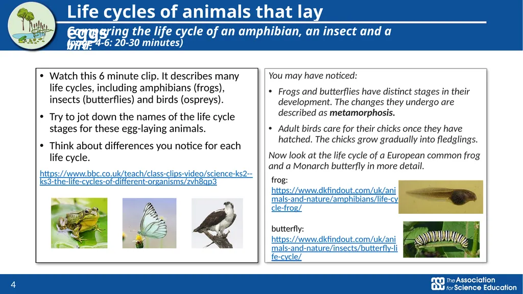 Living things and their habitats Comparing the - slide 4 of 9