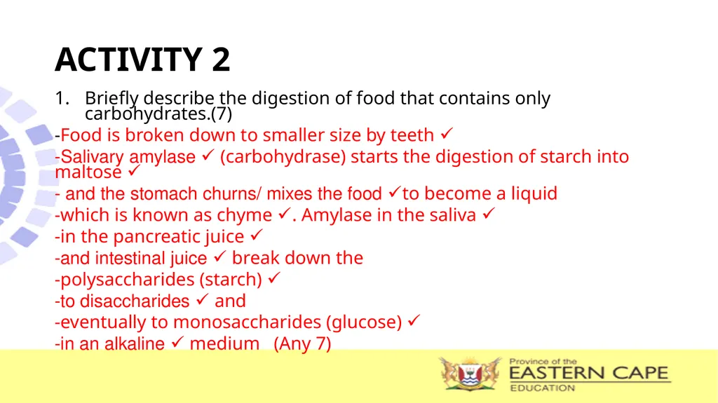 ANIMAL NUTRITION (Mammals) TOPIC: PROCESS OF - slide 23 of 28