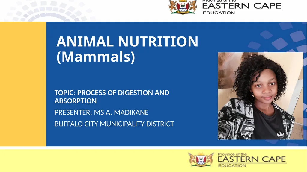 ANIMAL NUTRITION (Mammals) TOPIC: PROCESS OF - slide 1 of 28