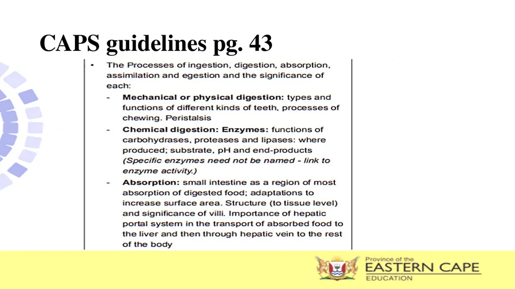 ANIMAL NUTRITION (Mammals) TOPIC: PROCESS OF - slide 2 of 28